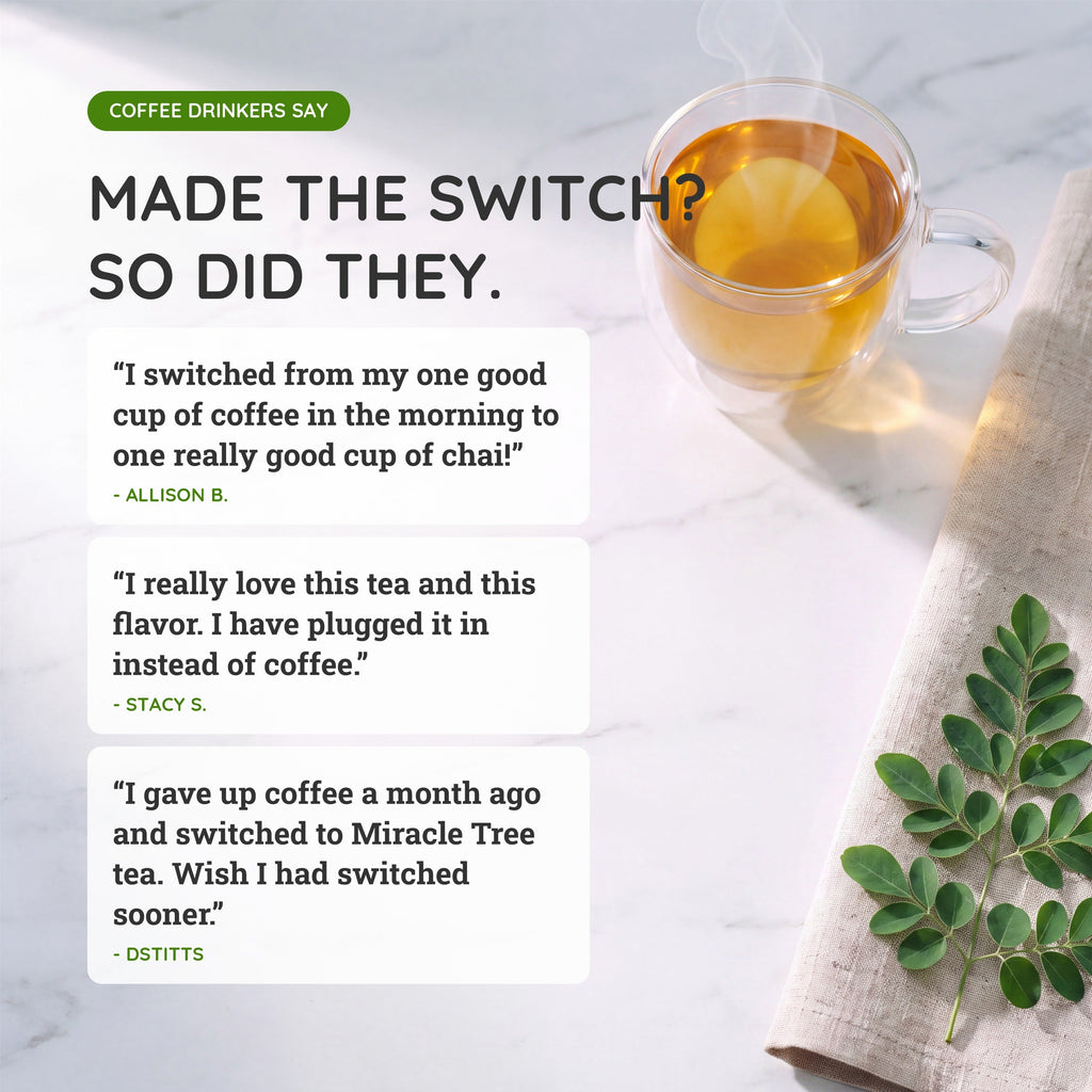 Organic Moringa Energy Tea - Ginger Lemon - Natural Coffee Alternative