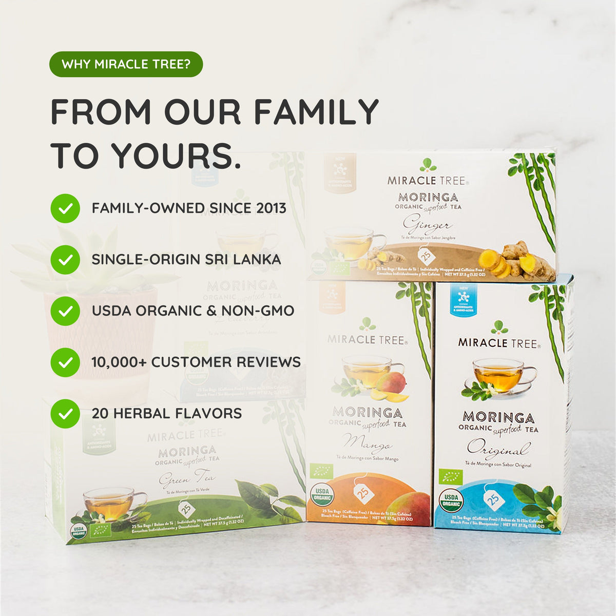 Organic Moringa Tea - Mango - Caffeine-Free Herbal Tea