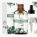 Eucalyptus Essential Oil Aceite Esencial Aromático Para Difusor Aromatherapy Multi-Purpose Essential Oils Multi-Scene Essential