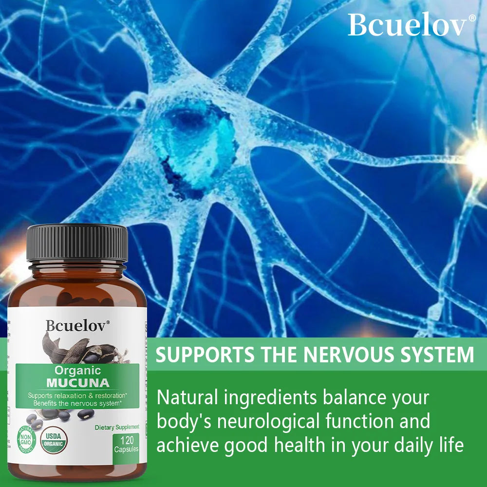 Organic Mucuna Capsules - Supports Relaxation and Well-Being - Natural Herbal Supplement for Nervous System Health