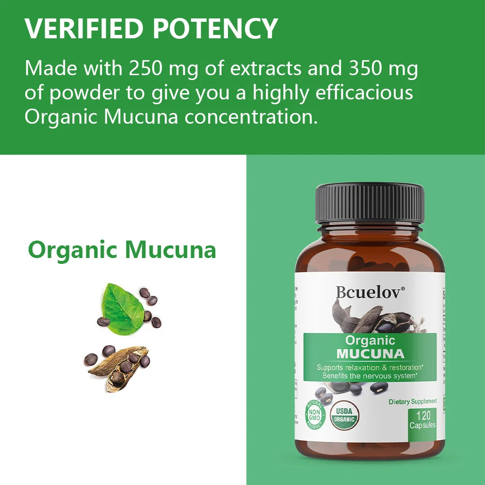 Organic Mucuna Capsules - Supports Relaxation and Well-Being - Natural Herbal Supplement for Nervous System Health