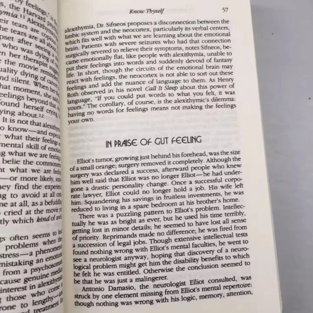 The Book of Wisdom, consisting of two volumes: a classic that combines mysticism and spiritual wisdom to explore deep thought