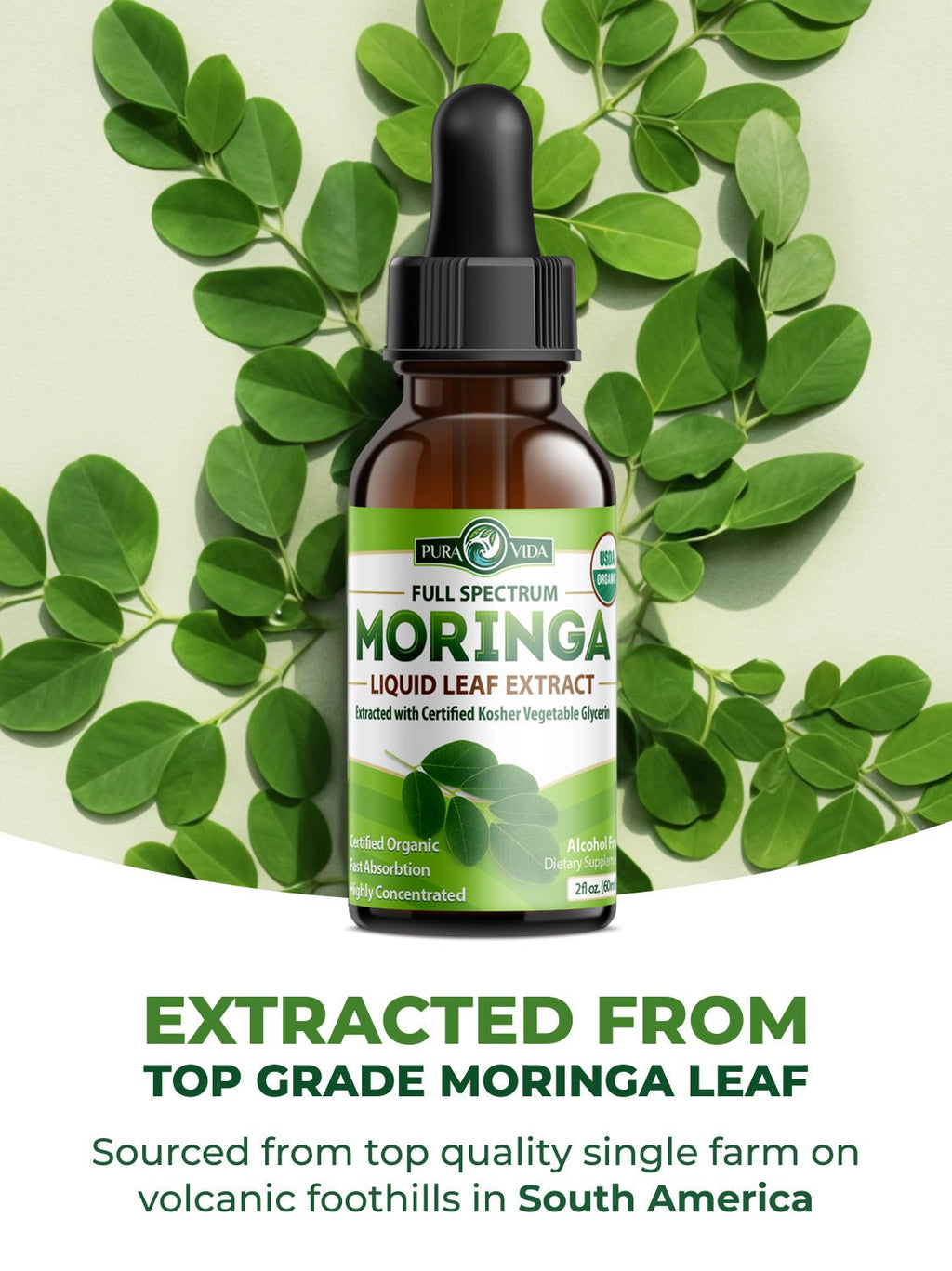 Moringa Leaf Extract Drops Pura Vida 2fl oz (60ml)
