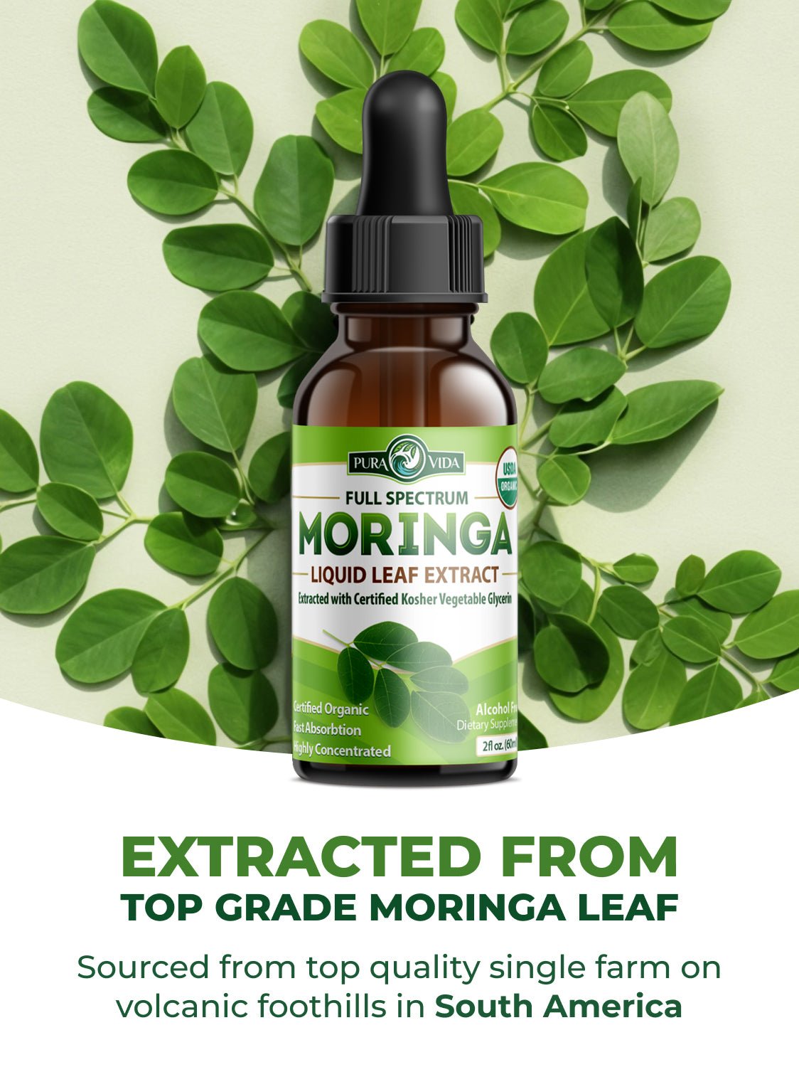 Moringa Leaf Extract Drops Pura Vida 2fl oz (60ml)