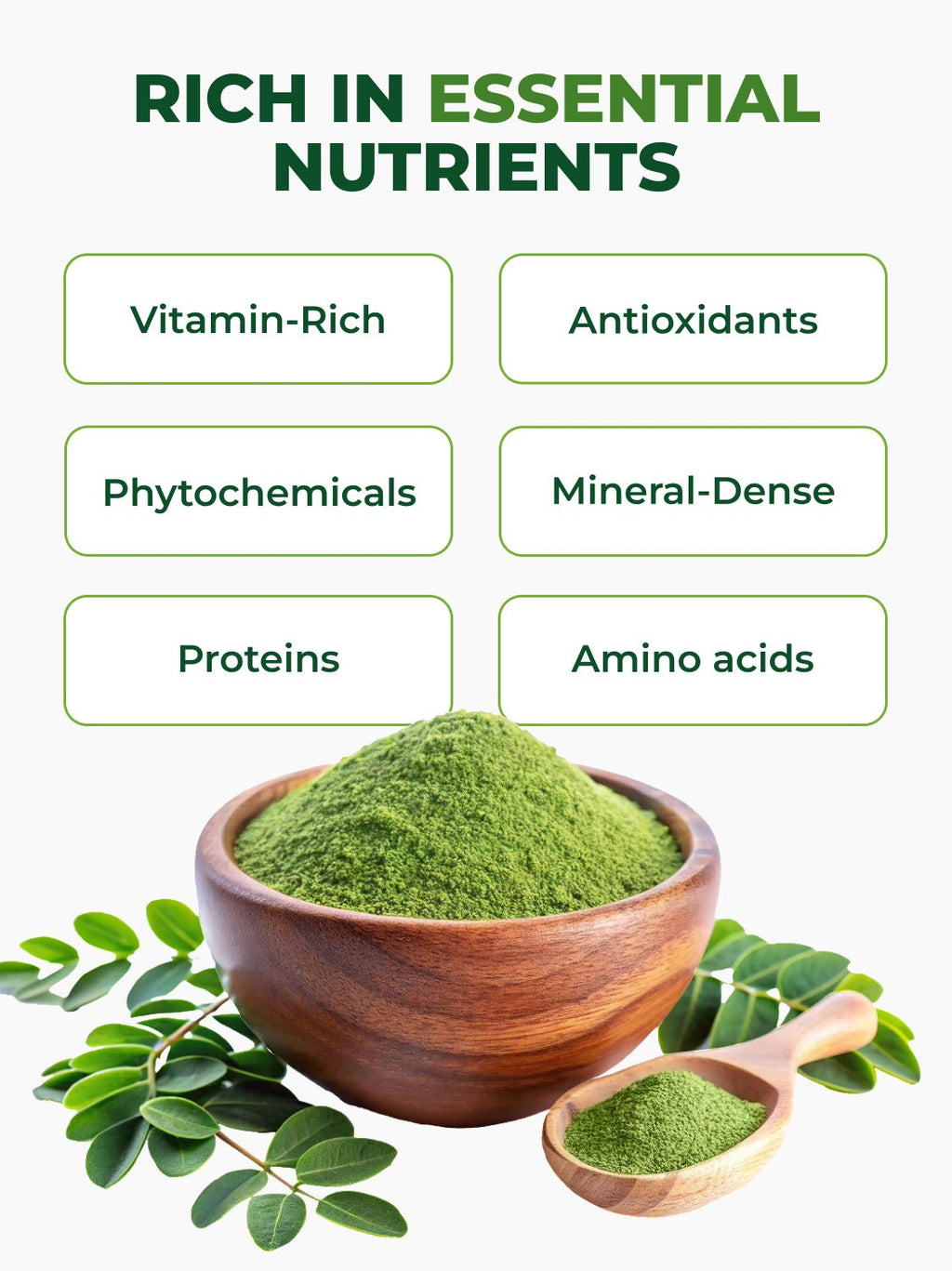 Moringa Powder Pura Vida 8oz (226g)